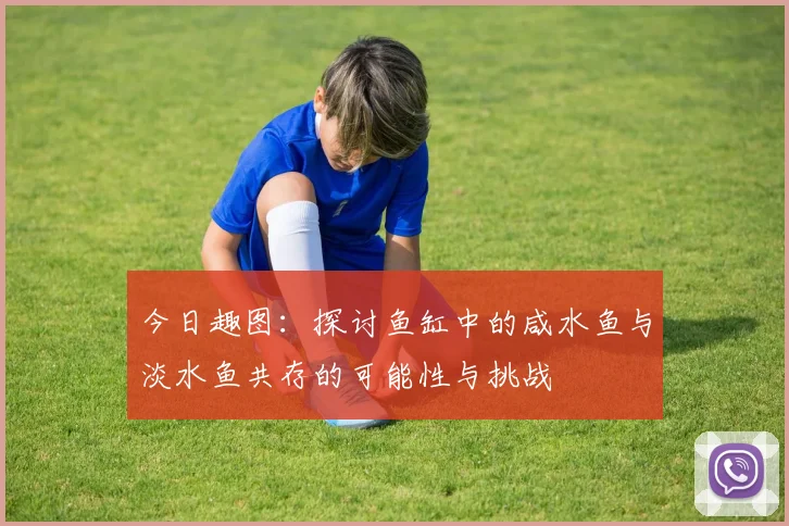 今日趣图：探讨鱼缸中的咸水鱼与淡水鱼共存的可能性与挑战