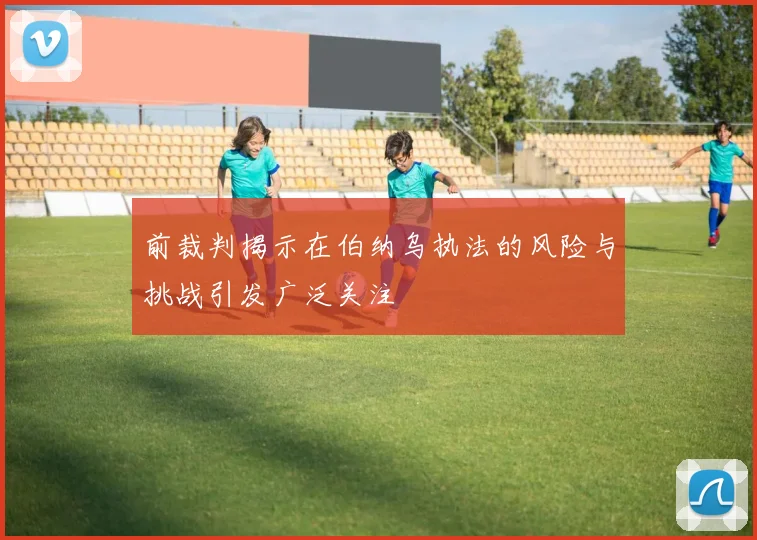前裁判揭示在伯纳乌执法的风险与挑战引发广泛关注