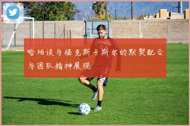 哈珀谈与福克斯卡斯尔的默契配合与团队精神展现