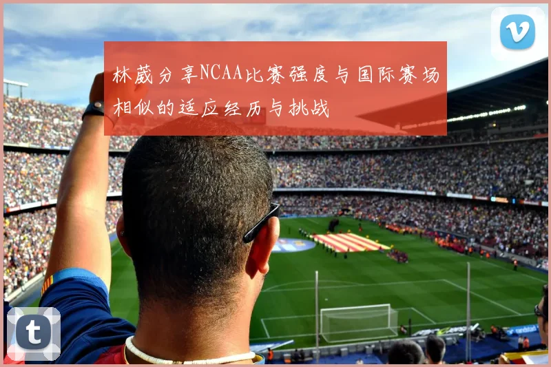 林葳分享NCAA比赛强度与国际赛场相似的适应经历与挑战