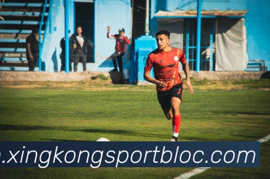 数据防护可视化